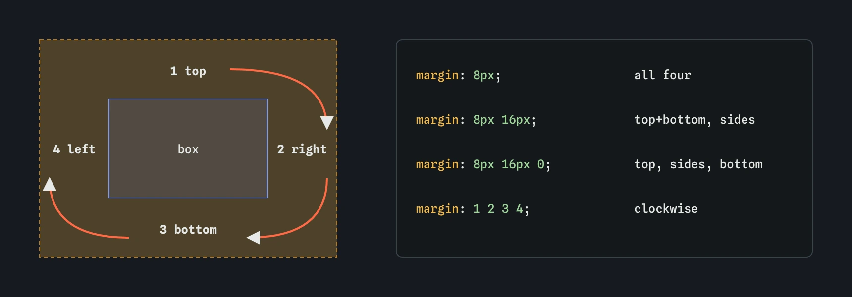 Margin shorthand values go clockwise from the top: top, right, bottom, left. One value sets all four sides, two set vertical then horizontal, three set top, horizontal, bottom