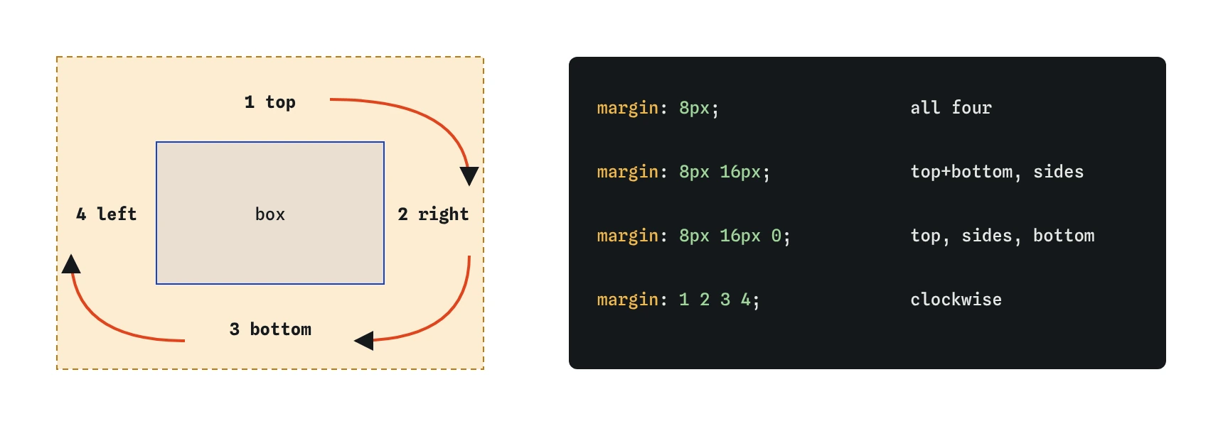 Margin shorthand values go clockwise from the top: top, right, bottom, left. One value sets all four sides, two set vertical then horizontal, three set top, horizontal, bottom
