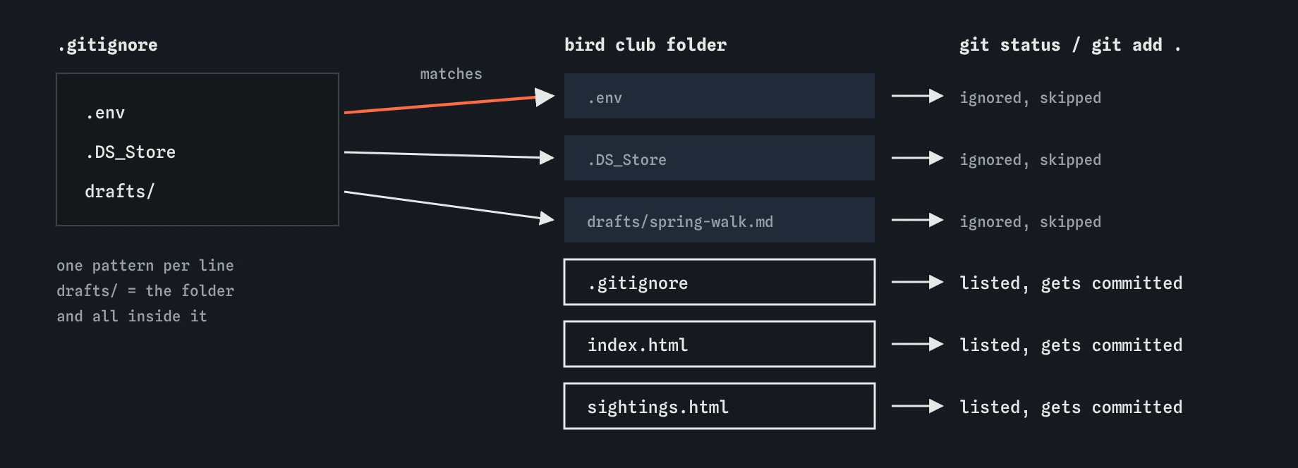 Three .gitignore lines, .env, .DS_Store and drafts/, point at the matching files in the bird club folder, which Git now skips. .gitignore, index.html and sightings.html stay listed and get committed.