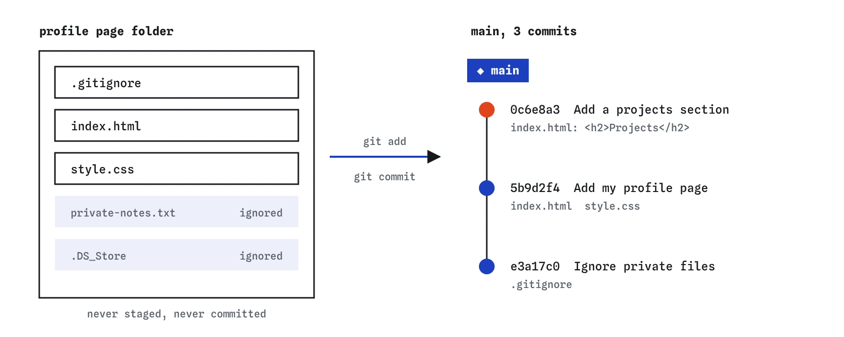 The profile page folder holds five files. private-notes.txt and .DS_Store are ignored and never committed. The rest go into three commits on main: Ignore private files, Add my profile page, Add a projects section.