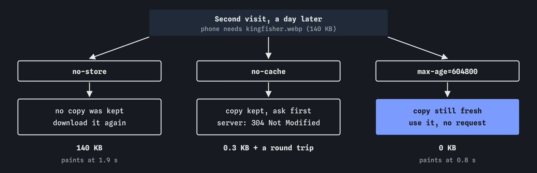 Three branches for the kingfisher photo on a second visit: no-store downloads all 140 KB again, no-cache sends a 0.3 KB check and waits a round trip, max-age=604800 uses the kept copy for 0 KB.
