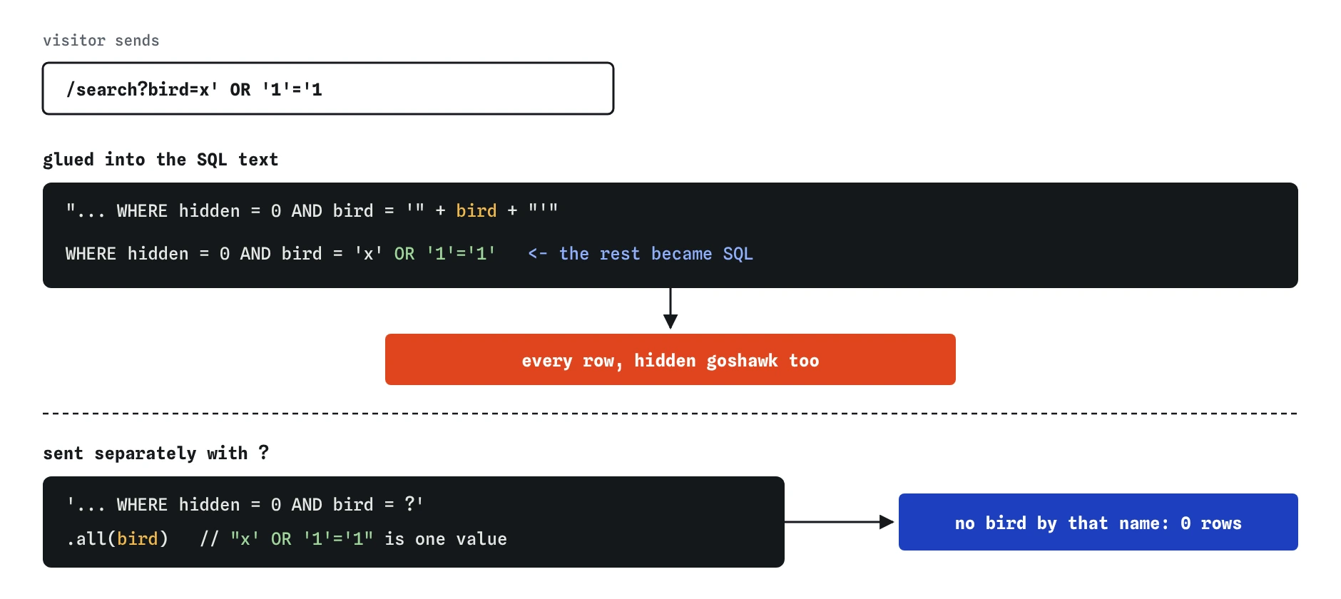 The input x' OR '1'='1 glued into the SQL becomes WHERE hidden = 0 AND bird = 'x' OR '1'='1', returning every row including the hidden goshawk. With a ? placeholder the same text is only a value and matches no bird.
