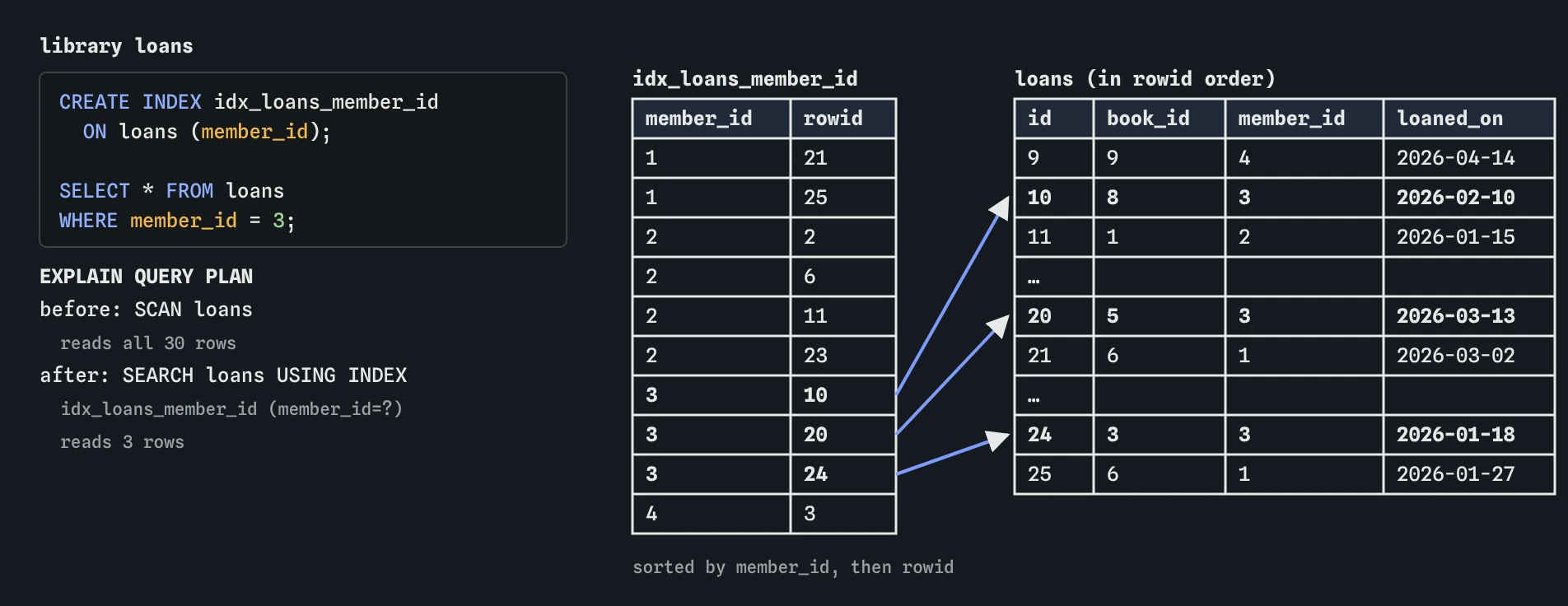 An index on loans member_id is a sorted list of member ids, each with a rowid. For WHERE member_id = 3 SQLite finds the three entries for member 3 and jumps straight to loans 10, 20 and 24